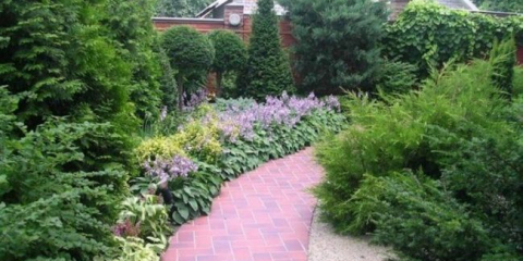 Stromy podél plotu na místě